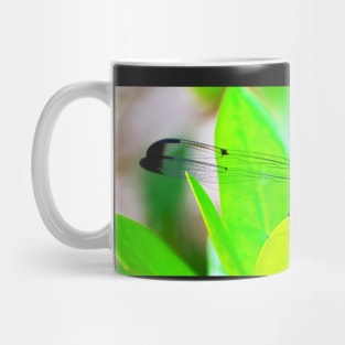 Dragonfly panoramic Mug